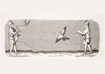 How to train a new falcon, reproduction of a miniature in the 14th century manuscript 